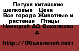 Петухи китайские шелковые › Цена ­ 1 000 - Все города Животные и растения » Птицы   . Ненецкий АО,Осколково д.